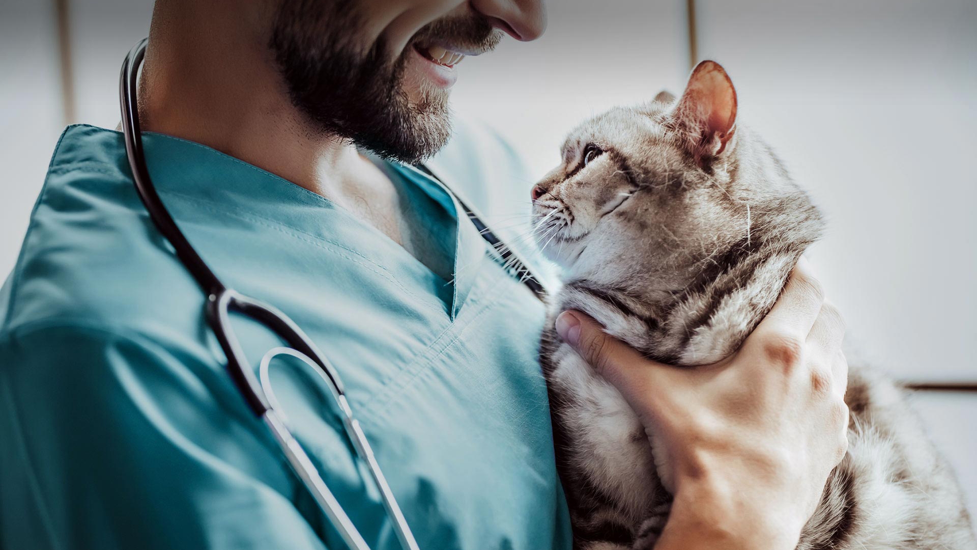 Başmakçı Veteriner